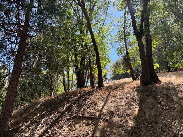 Lot 16 Edelweiss Dr, Crestline, CA 92325