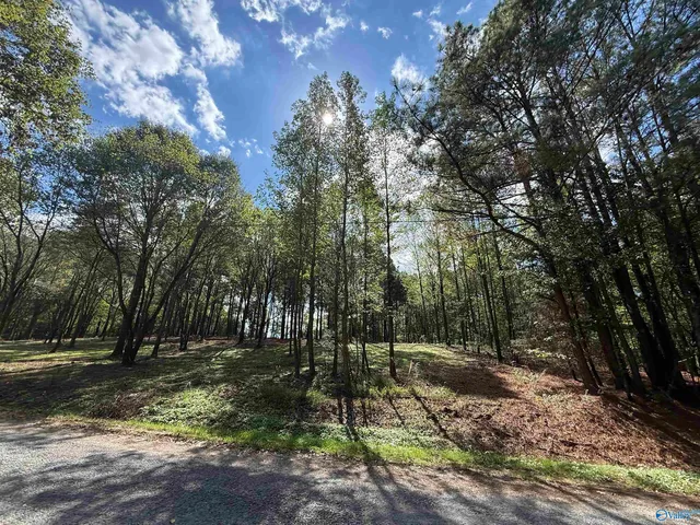 1A County Road 1123, Vinemont, AL 35179