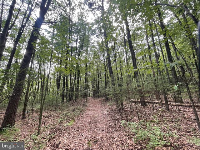 Long Run Rd, Pine Grove, PA 17963