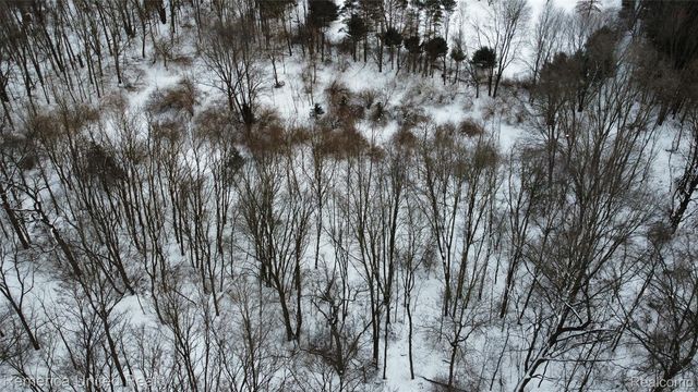 4297 Dinser Ln, Whitmore Lake, MI 48189
