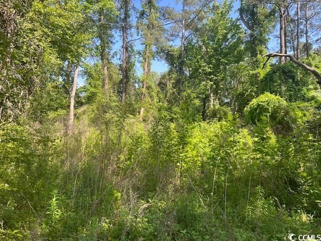 Lot  6 Whittemore St., Conway, SC 29527