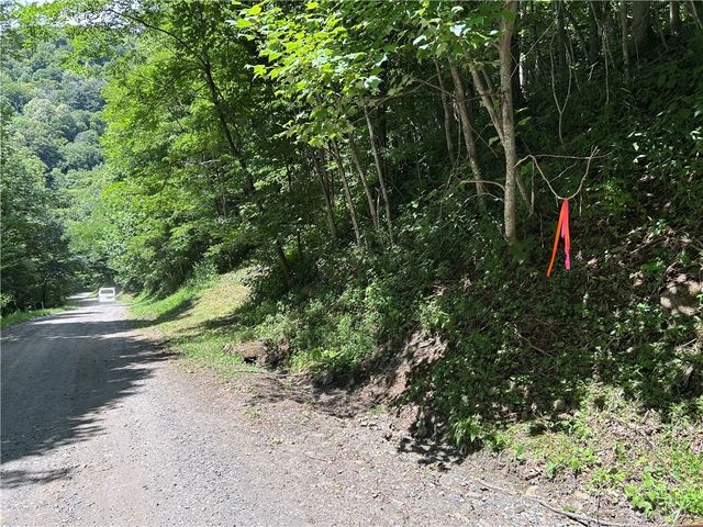 TBD Little Tree Road, West Jefferson, NC 28694