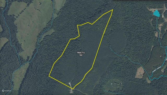 Cedar Grove Rd #WP006, Salem, KY 42078