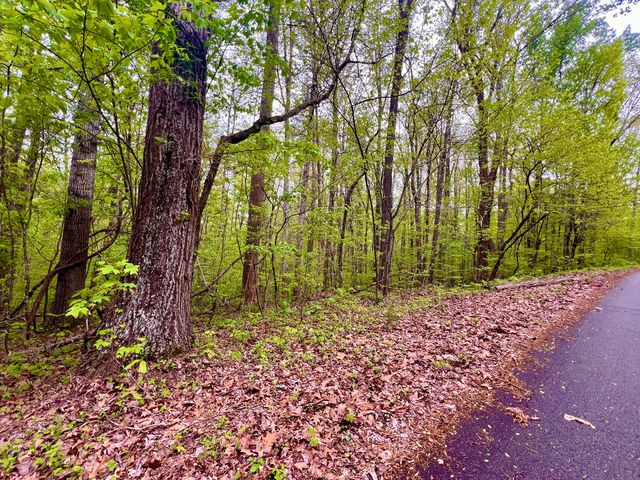 Lot 72&73 Polly Mountain Rd, Madisonville, TN 37354