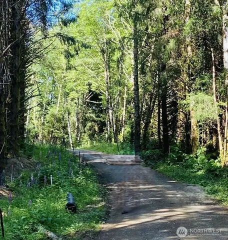 290 lot 4 Luttrell Lane, Chinook, WA 98614