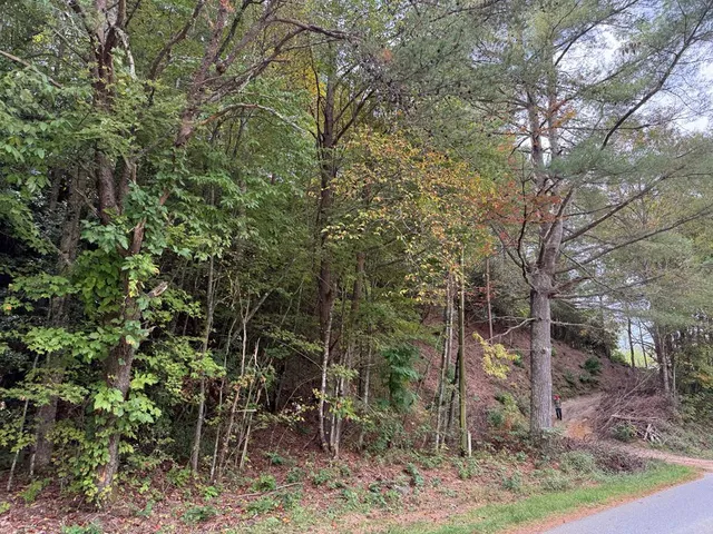 Canada Rd, Tuckasegee, NC 28783