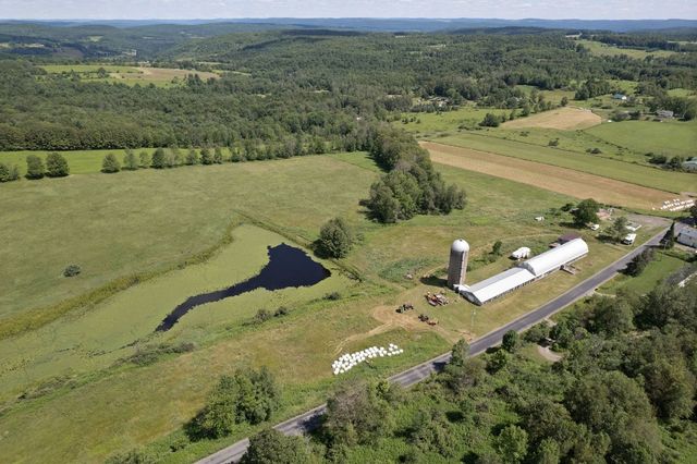 180 Puckerville Rd, Bainbridge, NY 13733