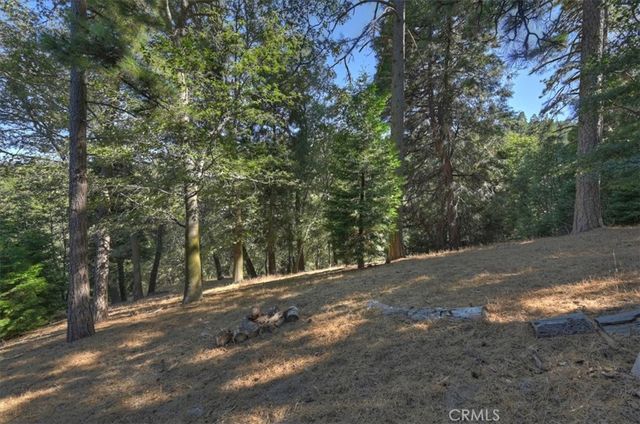 Pine Dr #16, Cedarpines Park, CA 92322