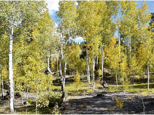 5460 County Road 10, Twin Lakes, CO 81251