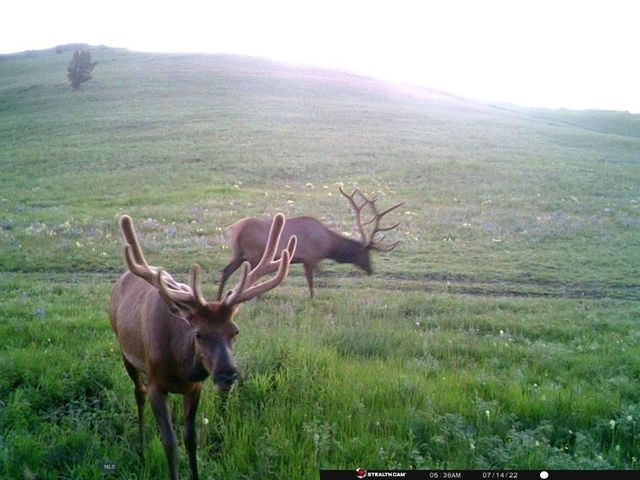 Indian Creek Rd, Townsend, MT 59644
