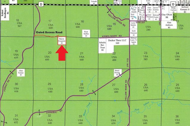 +/-40 Acres FOREST ROAD 113, Westboro, WI 54490