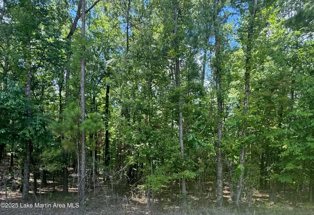 50 Vista Wood Dr, Dadeville, AL 36853