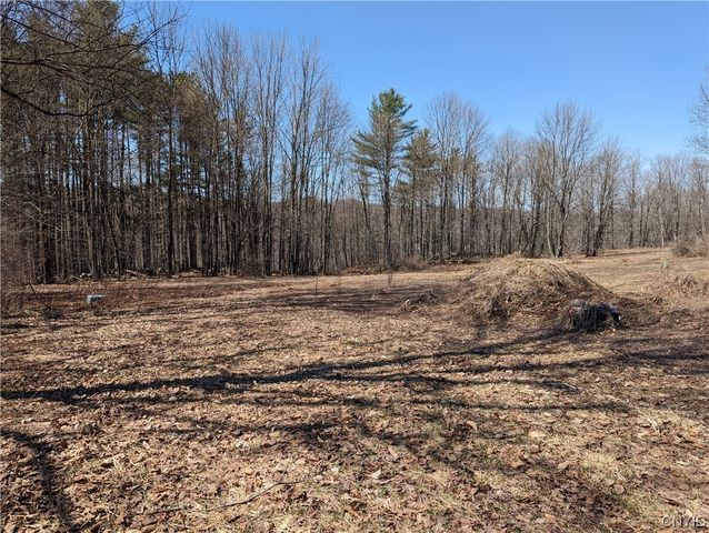 Lot 1 Domser Rd, Boonville, NY 13309