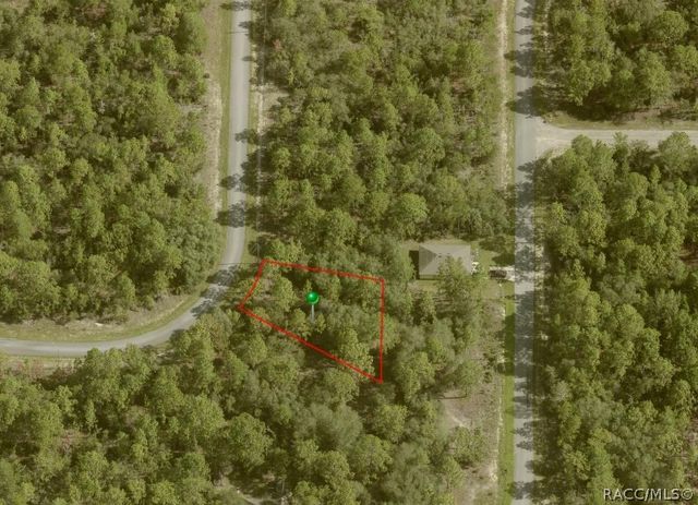 6689 N  Waterman Dr, Citrus Springs, FL 34433