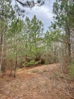 19450 Attala Rd   #3122, French Camp, MS 39745