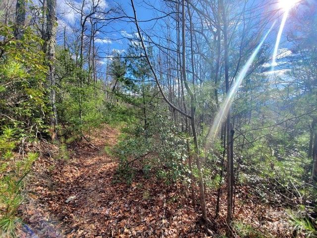 Elkins Rd, Bakersville, NC 28705