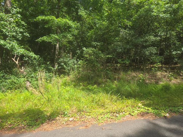 Mallon Rd, Americus, GA 31719