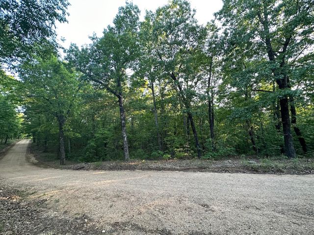 Tbd County Road 255, Thayer, MO 65791