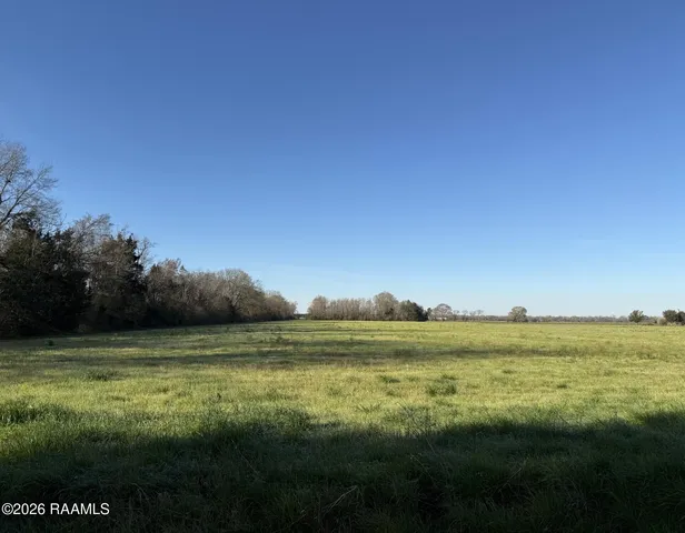 Water Tower Rd, Washington, LA 70589