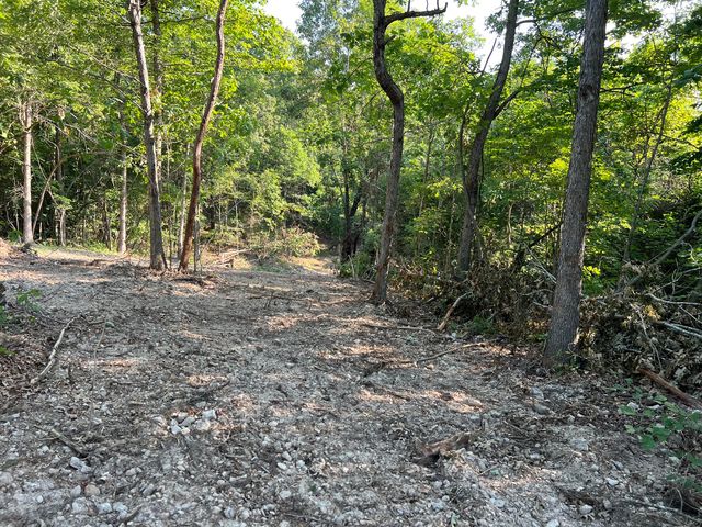 2371 County Road 359 Lot 3, Thayer, MO 65791