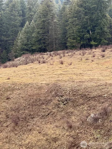 0 Lot 39 Mountain View, Oroville, WA 98844