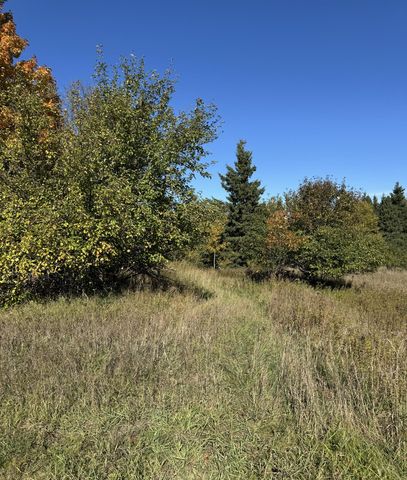 V/l 40ac County Rd #98, Mc Millan, MI 49853