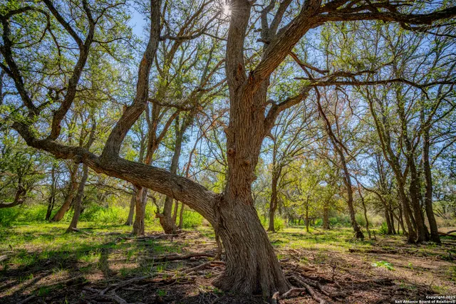 0 SH 16, San Saba, TX 76877