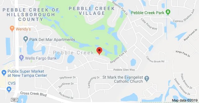 9320 Fairway Lakes Ct, Tampa, FL 33647