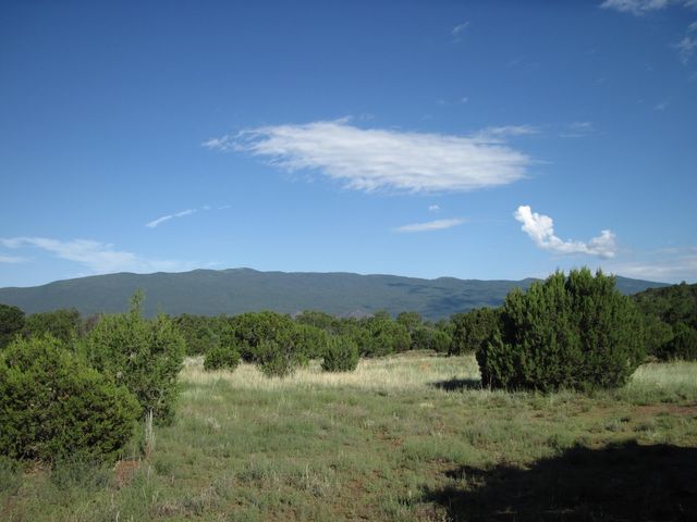 500 Forest Rd   #462, Tijeras, NM 87059