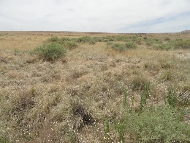 Canyon Dr, Laguna, NM 87026