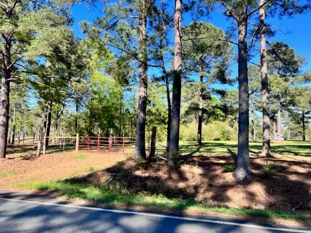 Tract 1 Whiddon Mill Rd, Tifton, GA 31793