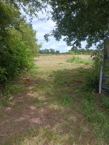 700 Vz County Rd #3418, Wills Pt, TX 75169