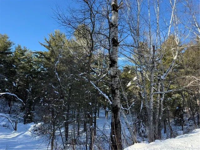 Lot 4 CSM 2370 Kavanaugh Road, Cable, WI 54821