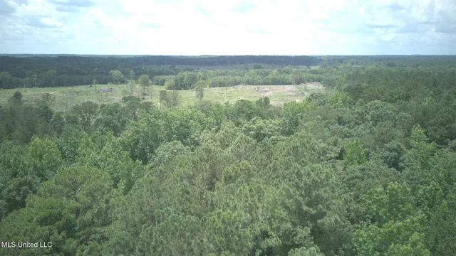 170 Flowers Rd, Kilmichael, MS 39747