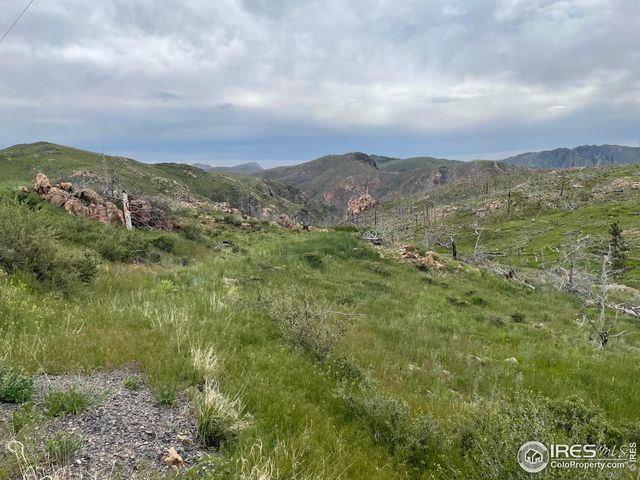 1400 Meadow Mountain Dr, Livermore, CO 80536