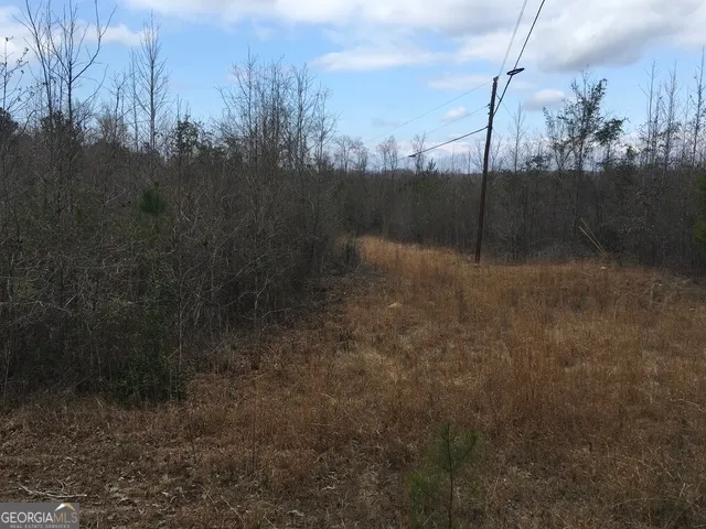 Dennard Hardy Rd, Gordon, GA 31031