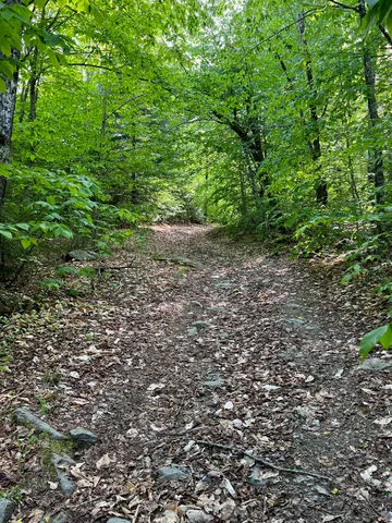60 Hutchinson Road, Houlton, ME 04730