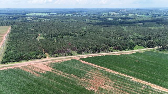 County Road 38, Banks, AL 36005