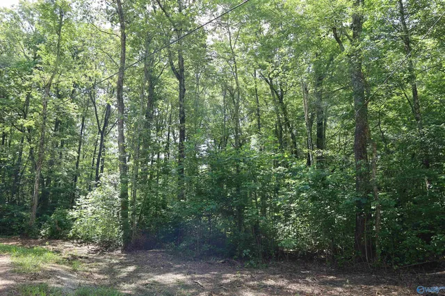 Libby Ln, Mentone, AL 35984