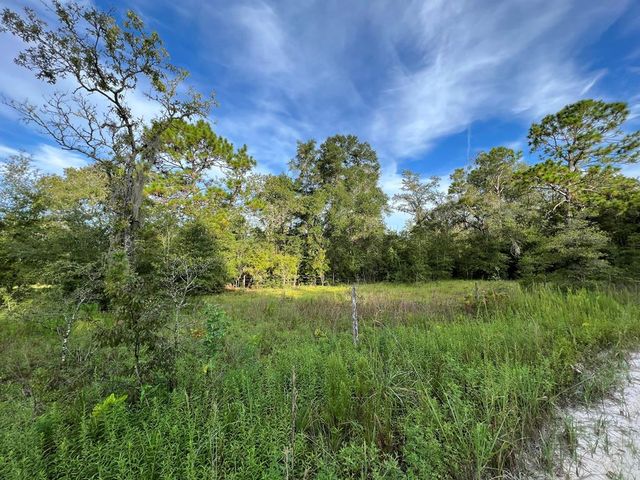 Lot 1 NW 20th Ave, Bell, FL 32619
