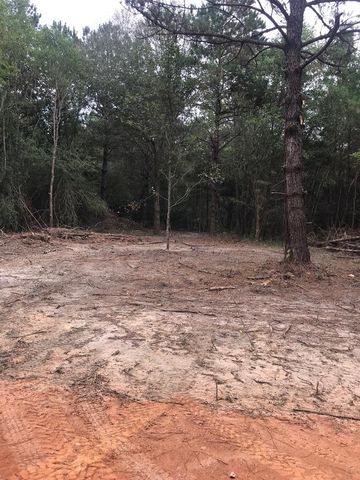 Burgetown Rd   #1, Carriere, MS 39426