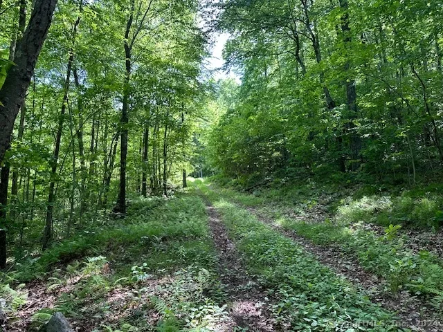 0 Couch Road, Cornwall Bridge, CT 06754