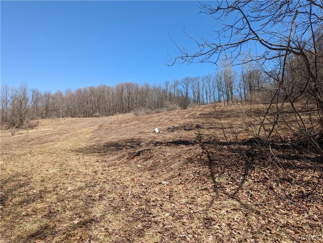Lot 2 Domser Rd, Boonville, NY 13309