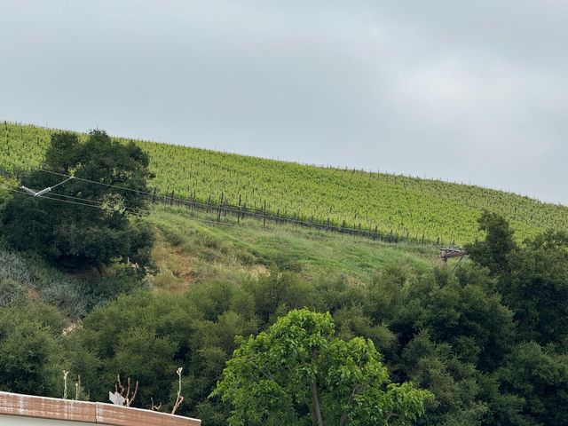 25 Burnham Rd, Oak View, CA 93022
