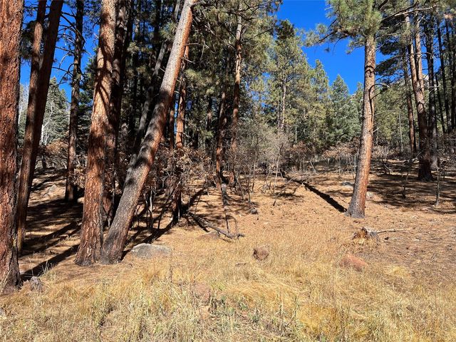 Spruce Dr, Chama, NM 87520
