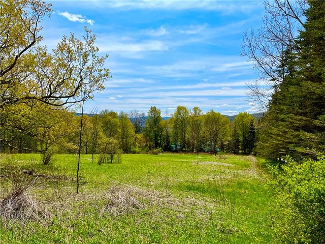 106 Overlook Rd   #2, Andes, NY 13731