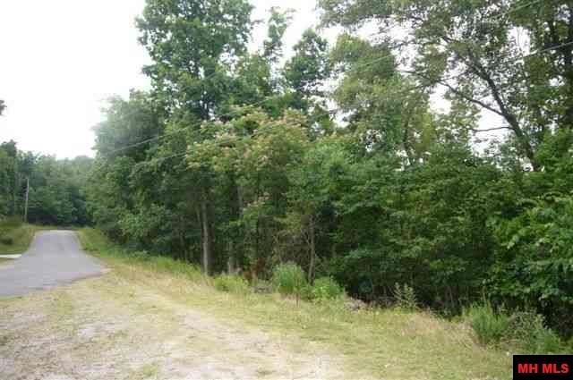 Lots 17 & 161 Country Club Dr, Bull Shoals, AR 72619