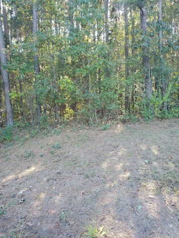 Country Wood Rd #35-36, Quitman, AR 72131