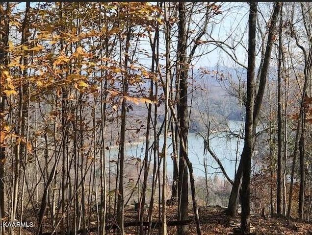 Lot 122 Settlers Poin, New Tazewell, TN 37825