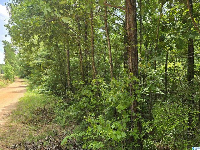 Coosa County Road 118 #7, Rockford, AL 35136